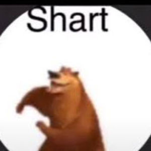 Meet your Posher, Mona